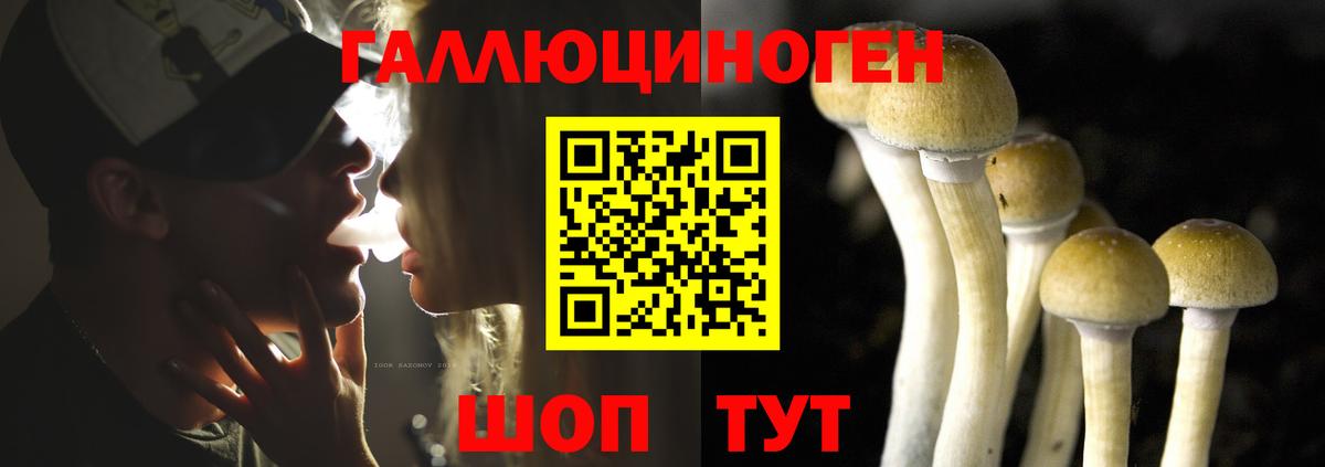 Галлюциногенные грибы MAGIC MUSHROOMS  Вход с VPN  Гусев 