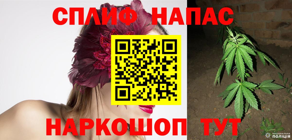 Бошки Шишки марихуана Гусев